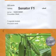 بذر خیار گلخانه ای سناتور