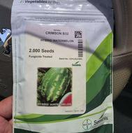 فروش بذر هندوانه بی 32