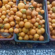 گارکر داخل مغازه نیاز دارم