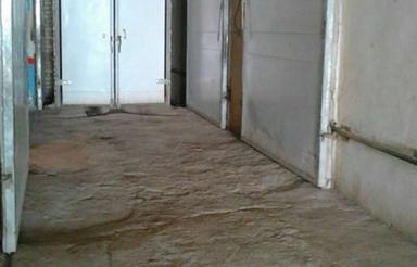 سوله انبار سردخانه