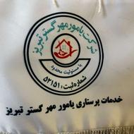 استخدام خدمات