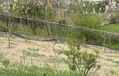 1860 متر زمین واقع در روستای اومال