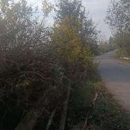 فروش شالیزار بر اصلی اسفالت