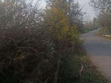 فروش شالیزار بر اصلی اسفالت در شیپور