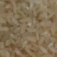 فروش برنج کامفیروزی ارگانیک بشرط پخت عطرو طعم عالی