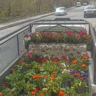 وانت تلفنی حمل بار شبانه روزی