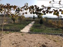 فروش زمین کشاورزی 326 متر در مرکز شهر در شیپور