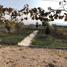 فروش زمین کشاورزی 326 متر در مرکز شهر