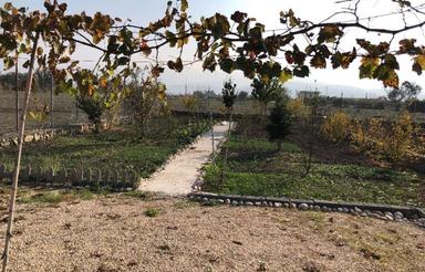 فروش زمین کشاورزی 326 متر در مرکز شهر