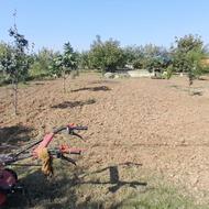 علف زدن وروتوری زدن باغ وزمین