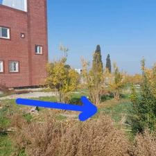 فروش زمین مسکونی 203 متر در خلیل محله