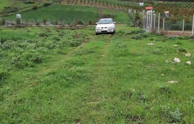 315مترزمین عالی با سندتک برگ-پشت استخر-طبیعت