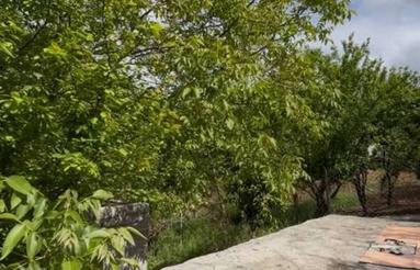 280 متر ویو دارد