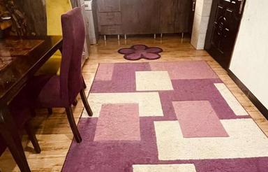 اجاره آپارتمان 60 متر در استقلال