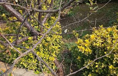 زمین 5هزارمتری در بهترین لوکیشن