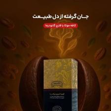 عرضه انواع قهوه کانودرما با خاصیت های درمانی فراوان