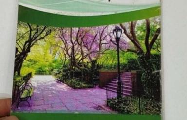 امتیاز دلنوازان دادگستری