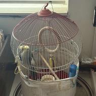 قفس پرندگان مختلف