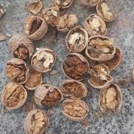 خریدار گردو