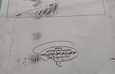 زمین دو کله . .