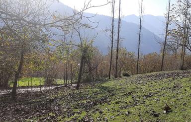 فروش 8000متر زمین واقع در منطقه لزیر