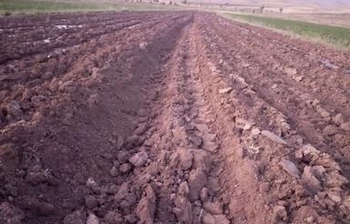 400هکتار زمین کشاورزی 