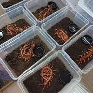 باکس نگهداری