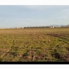 زمین کشاورزی ماهیدشت