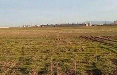 زمین کشاورزی ماهیدشت