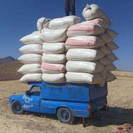 کاه گندم و لوبیا