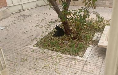 فروش فوری زمین با موقعیت عالی قیمت مناسب