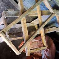 کندو زنبور عسل