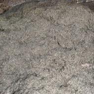 یونجه خورد شده