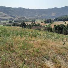 زمین باغی 200 متر