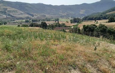 زمین باغی 200 متر