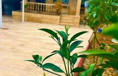 فلت کلاسیک 565متر،شهرکی جاده آمل ب چمستان