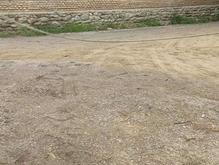 زمین کردکوی در شیپور