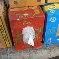 کارتن موزی نو