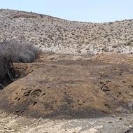 فروش 20کامیون کود حیوانی