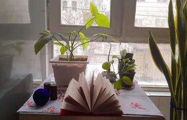 اجاره واحد 2 خواب امام موسی کاظم