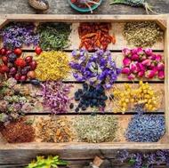 ترک و درمان.