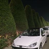 206 مدل 1401 پاناروما تیپ 3 خونگی‌