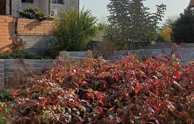 فروش زمین تجاری 65 متر در پل گردن