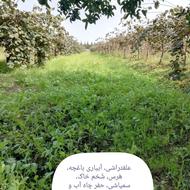 علفتراشی سمپاشی حفر چاه آب و فاضلاب