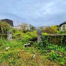 فروش زمین مسکونی 327 متری سند دار در لتینگان