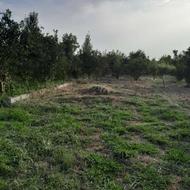 430متر زمین باغ لوکیشن عالی کنارجاده اصلی