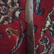 کارد دسته شاخ