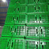 انواع سبد پلاستیکی