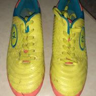 دوحفت کفش فروشی