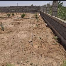 زمین باغی دریاقوت آباد